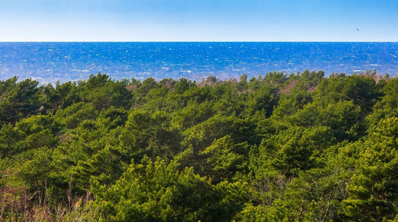 Palanga Sea View Apartman Kültér fotó